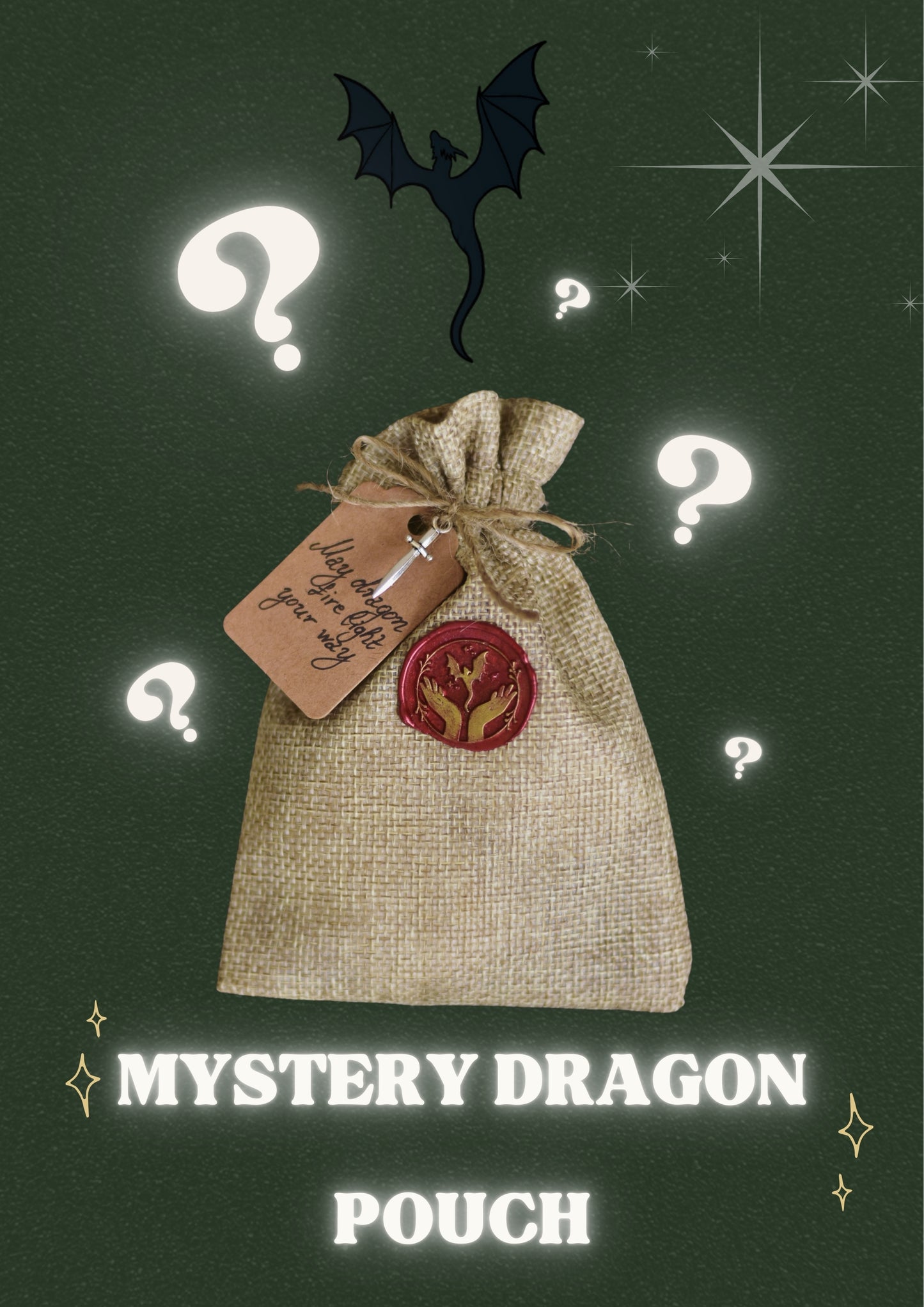 Mystery Dragon Pouch - Artist's Choice 💖