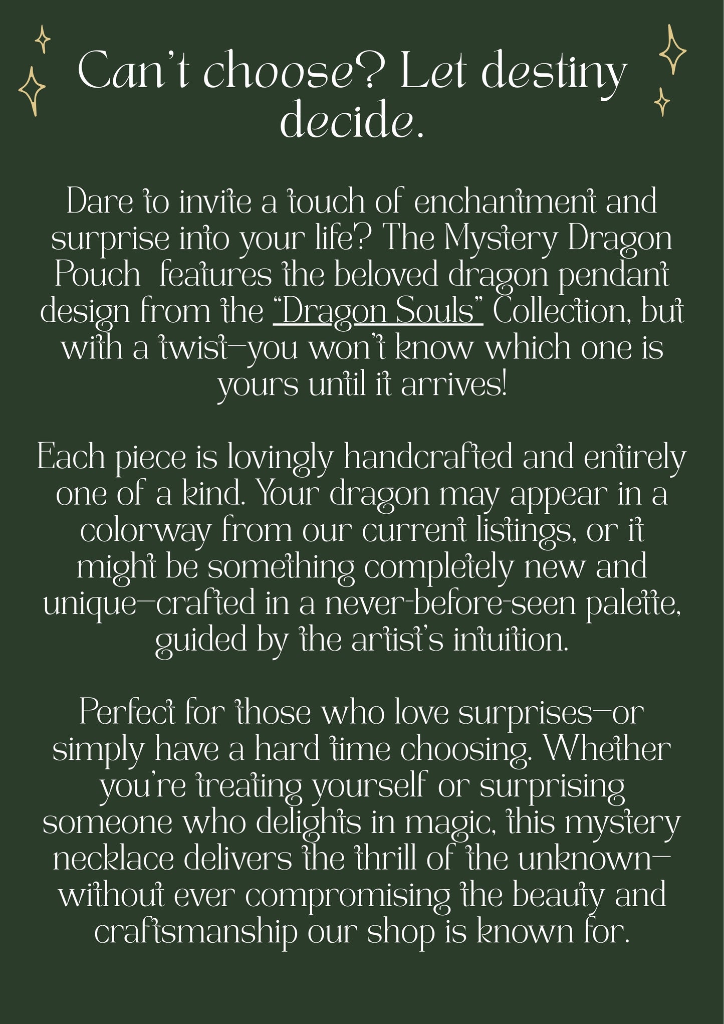 Mystery Dragon Pouch - Artist's Choice 💖