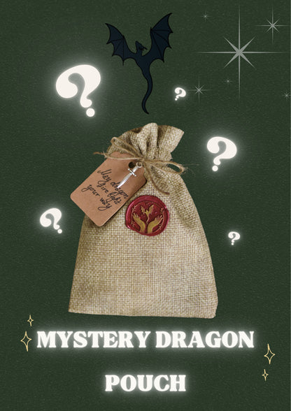 Mystery Dragon Pouch - Artist's Choice 💖
