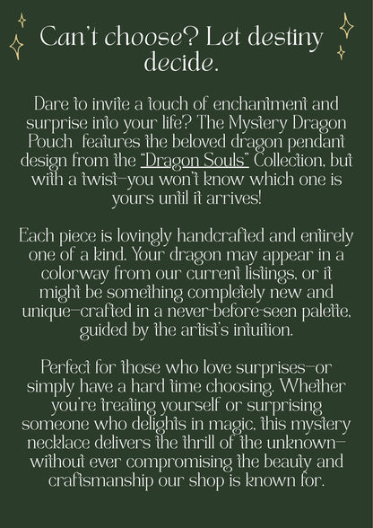 Mystery Dragon Pouch - Artist's Choice 💖